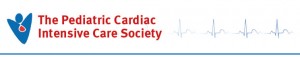 PCICS-logo-header